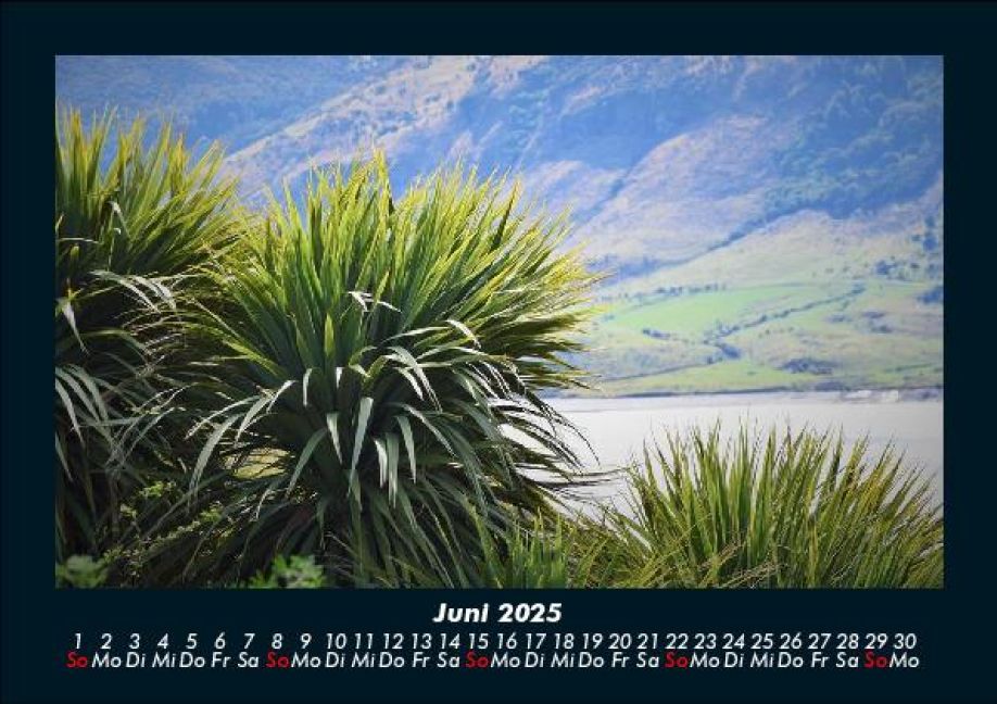 InsideView 10