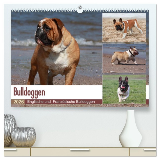 Bulldoggen - Englische und Französische Bulldoggen (hochwertiger Premium Wandkalender 2026 DIN A2 quer), Kunstdruck in Hochglanz - Chawera Chawera