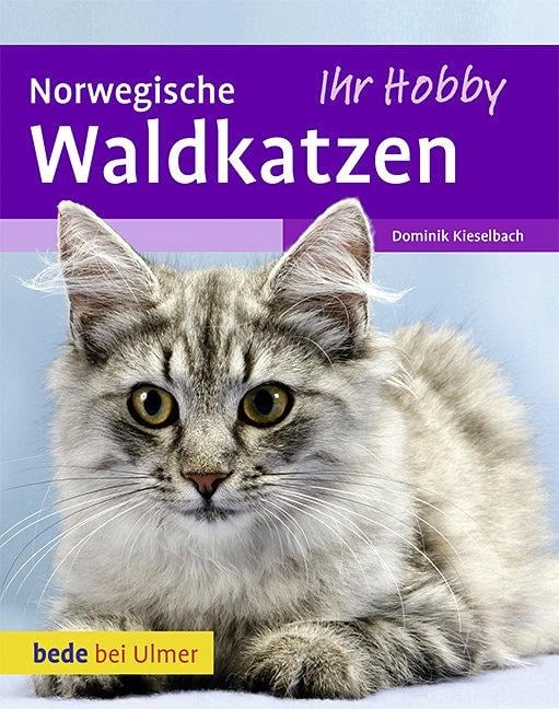 Norwegische Waldkatzen - Dominik Kieselbach