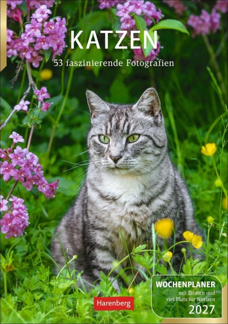 Katzen Wochenplaner 2027 - 53 faszinierende Fotografien - Thomas Huhnold