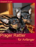 Cover-Bild zum Titel 'Prager Rattler (Pra¿ský krysarík) für Anfänger' von 'Elisabeth Engler'