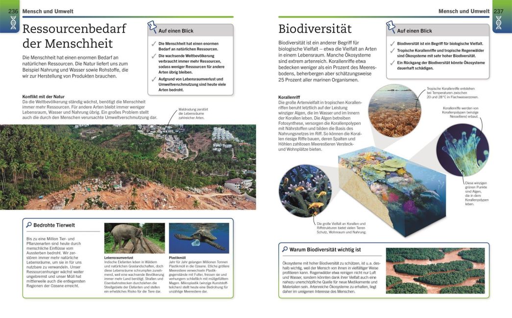 InsideView 8