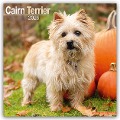 Cairn Terrier - Cairn Terrier 2025 - 16-Monatskalender - Avonside Publishing Ltd