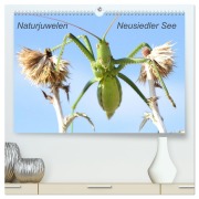 Cover-Bild zum Titel 'Naturjuwelen - Neusiedler See (hochwertiger Premium Wandkalender 2026 DIN A2 quer), Kunstdruck in Hochglanz' von 'Günter Bachmeier'