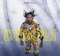 Cover-Bild zum Titel 'Diboli' von 'Tamala'