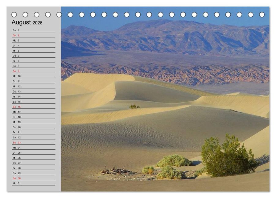 InsideView 13