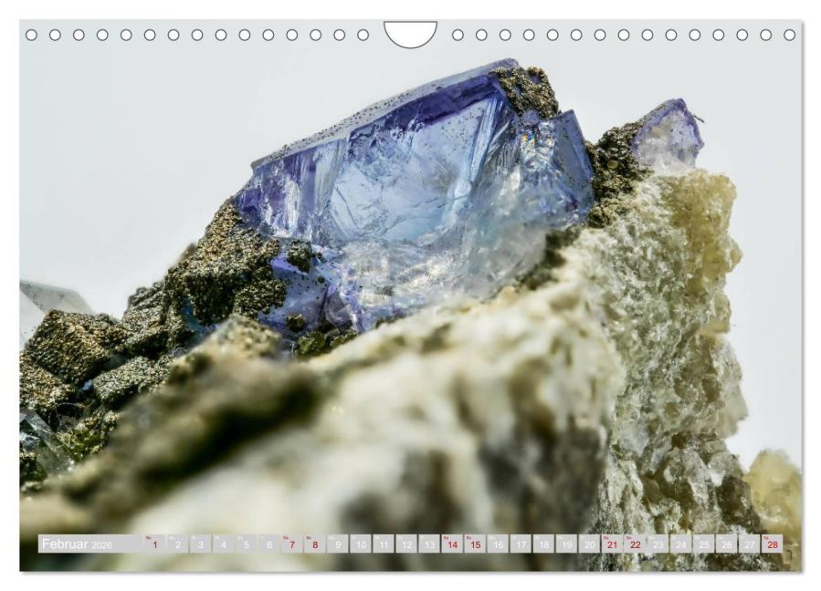 InsideView 7