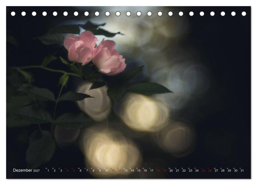 InsideView 4