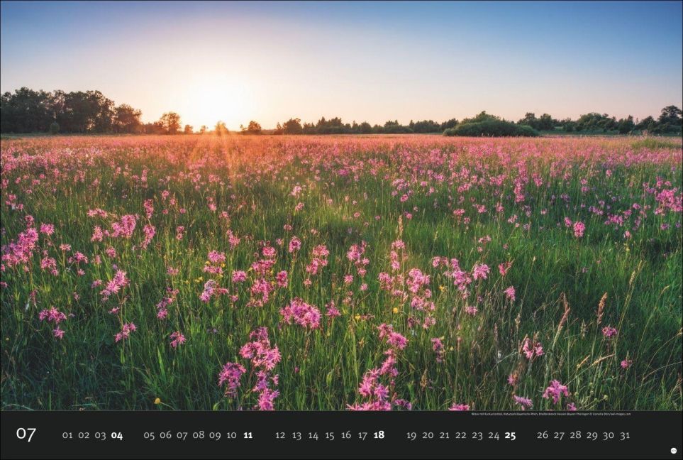 InsideView 7