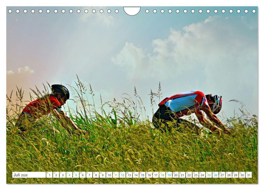 InsideView 12