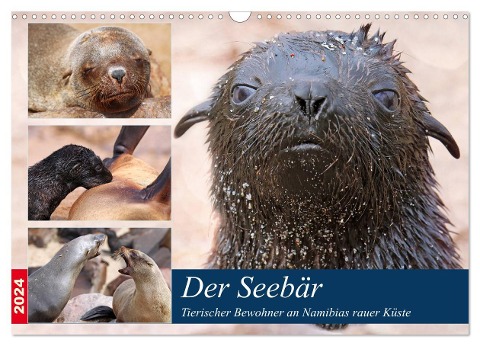 Der Seebär 2024 (Wandkalender 2024 DIN A3 quer), CALVENDO Monatskalender - Wibke Woyke