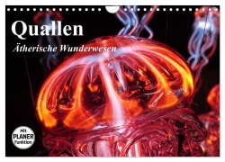 Cover-Bild zum Titel 'Quallen. Ätherische Wunderwesen (Wandkalender 2026 DIN A4 quer), CALVENDO Monatskalender' von 'Elisabeth Stanzer'