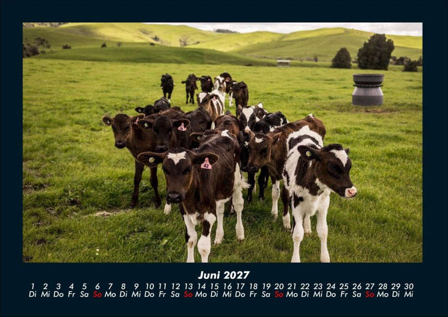 InsideView 10