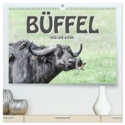 Büffel - wild und schön (hochwertiger Premium Wandkalender 2025 DIN A2 quer), Kunstdruck in Hochglanz - Robert Styppa