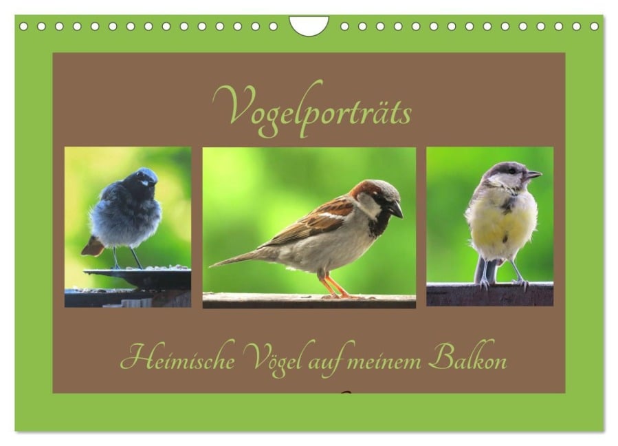 Vogelporträts - Heimische Vögel auf meinem Balkon (Wandkalender 2026 DIN A4 quer), CALVENDO Monatskalender - Claudia Schimmack