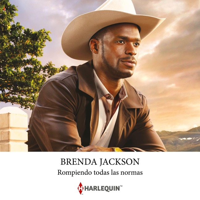 Rompiendo todas las normas - Brenda Jackson