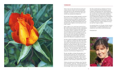 InsideView 1