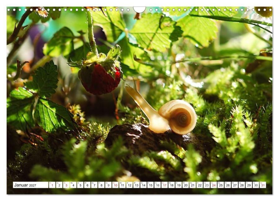 InsideView 6