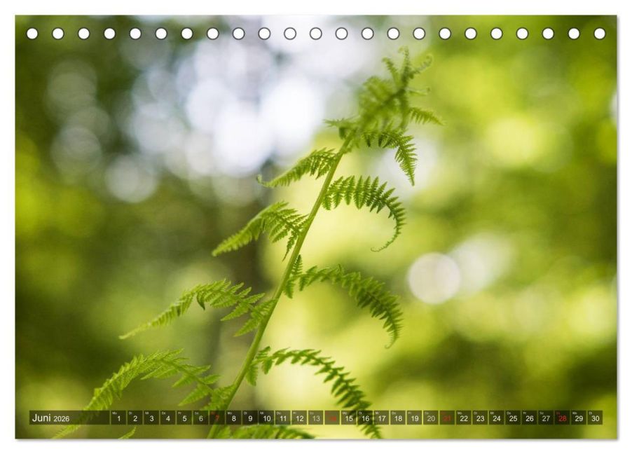 InsideView 11