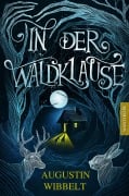 Cover-Bild zum Titel 'In der Waldklause - Märchen für kleine und große Kinder bis zu 80 Jahre und darüber' von 'Augustin Wibbelt'