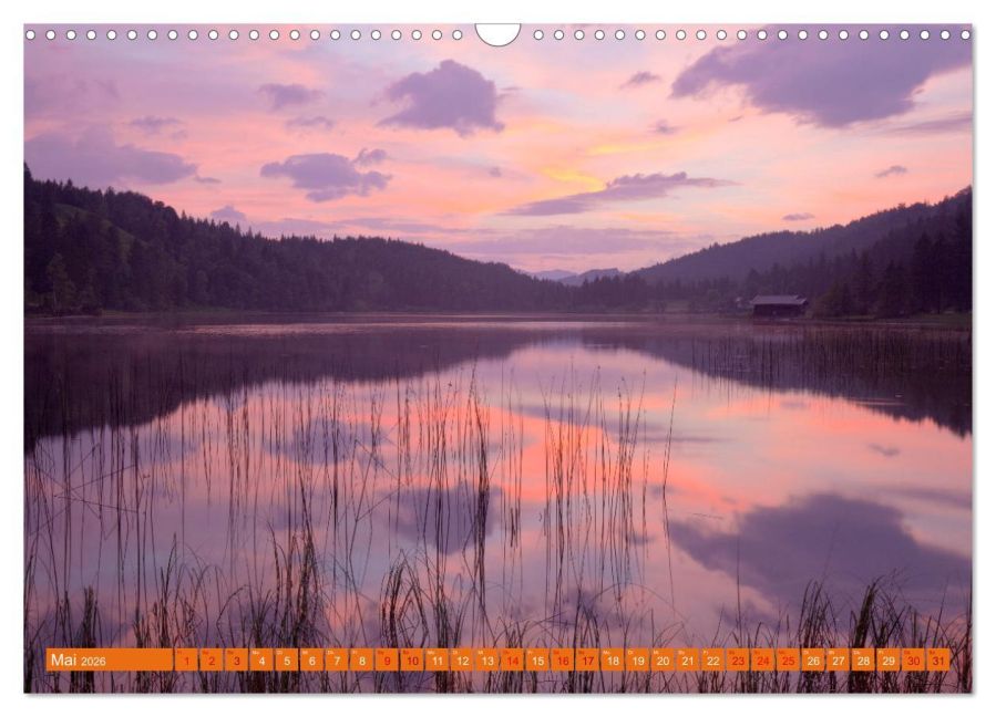 InsideView 10