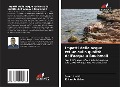 Cover-Bild zum Titel 'Impatti delle acque reflue sulla qualità dell'acqua a Bouismail' von 'Samir Larbi, Krimo Achiche'