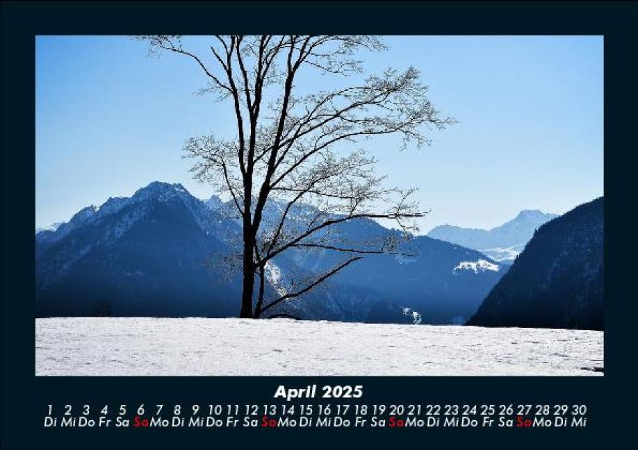 InsideView 8