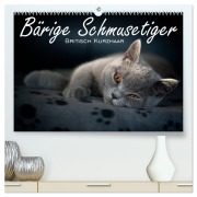 Cover-Bild zum Titel 'Bärige Schmusetiger - Britisch Kurzhaar / CH-Version (hochwertiger Premium Wandkalender 2026 DIN A2 quer), Kunstdruck in Hochglanz' von 'Inge Zimmermann-Probst'