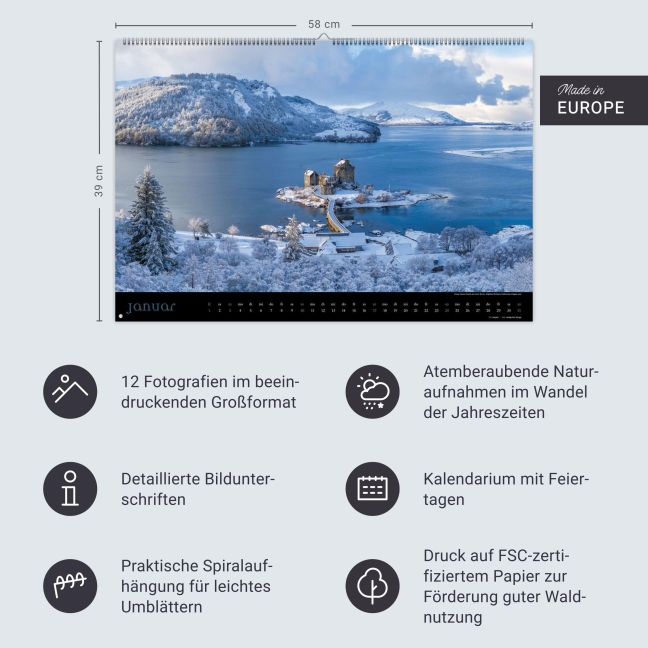InsideView 13