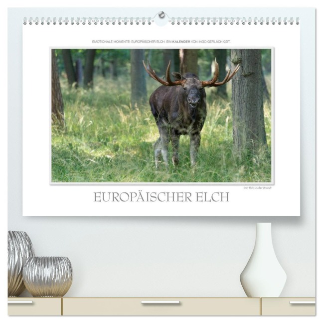 Emotionale Momente: Europäischer Elch. / CH-Version (hochwertiger Premium Wandkalender 2026 DIN A2 quer), Kunstdruck in Hochglanz - Ingo Gerlach GDT