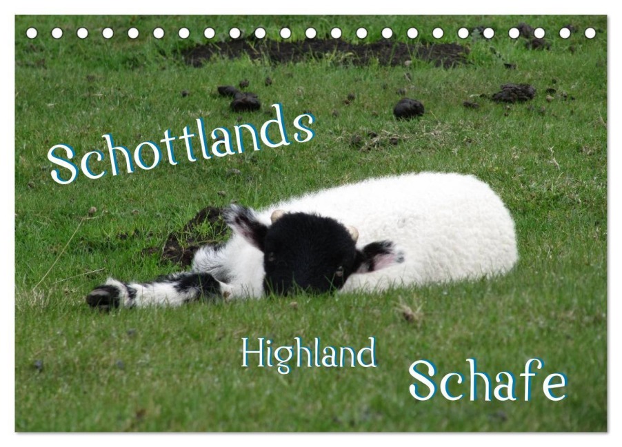 Schottlands Highland Schafe (Tischkalender 2026 DIN A5 quer), CALVENDO Monatskalender - ~Bwd~ ~Bwd~