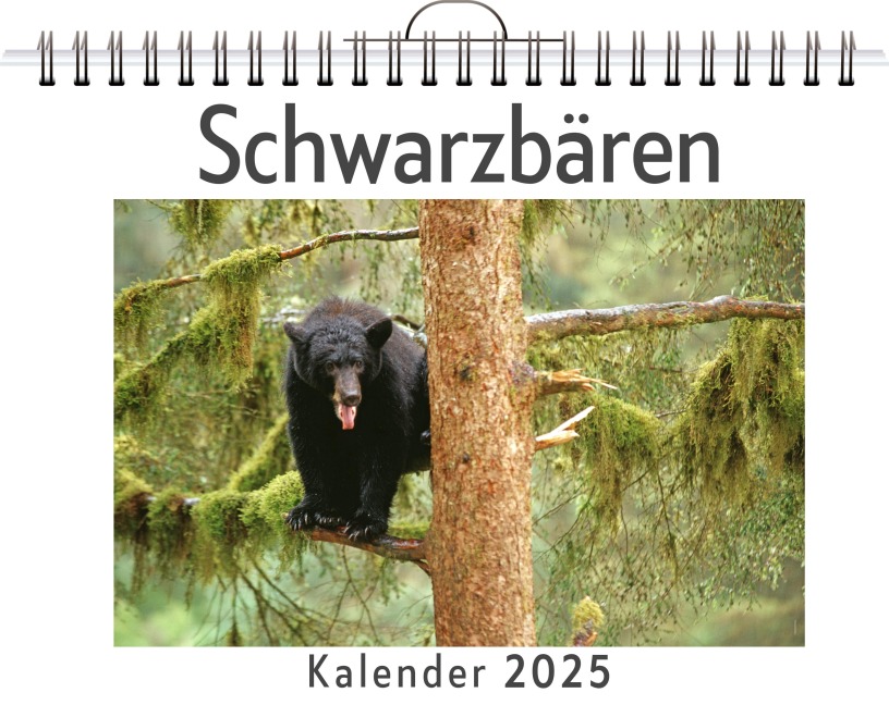 Schwarzbären - Ava Wagner