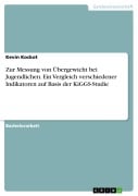 Cover-Bild zum Titel 'Zur Messung von Übergewicht bei Jugendlichen. Ein Vergleich verschiedener Indikatoren auf Basis der KiGGS-Studie' von 'Kevin Kockot'