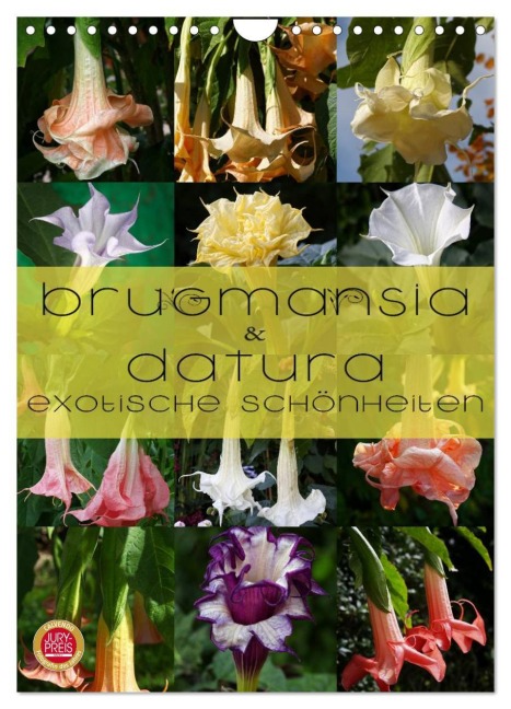 Brugmansia & Datura - Exotische Schönheiten (Wandkalender 2026 DIN A4 hoch), CALVENDO Monatskalender - Martina Cross