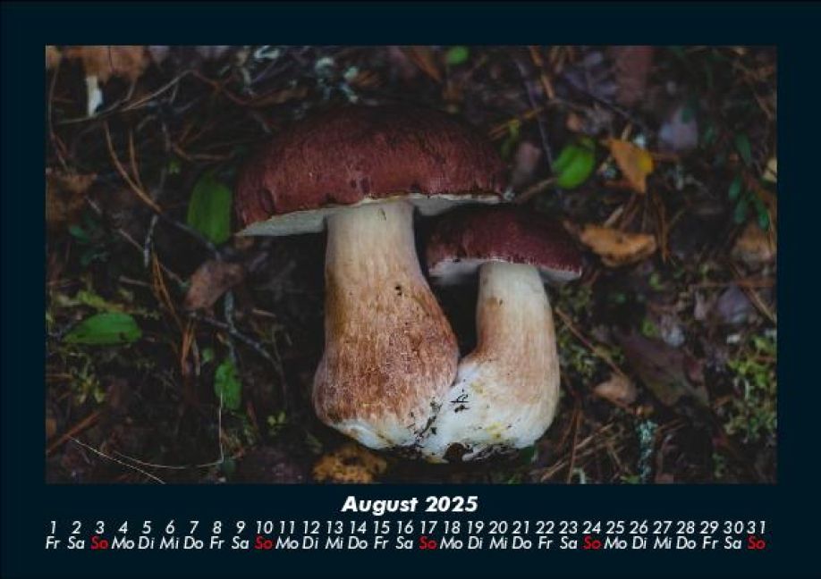 InsideView 12