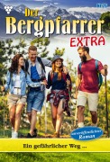 Cover-Bild zum Titel 'Ein gefährlicher Weg...' von 'Toni Waidacher'