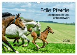 Cover-Bild zum Titel 'Edle Pferde - ausgelassen und unbeschwert (Wandkalender 2026 DIN A3 quer), CALVENDO Monatskalender' von 'Kerstin Waurick'