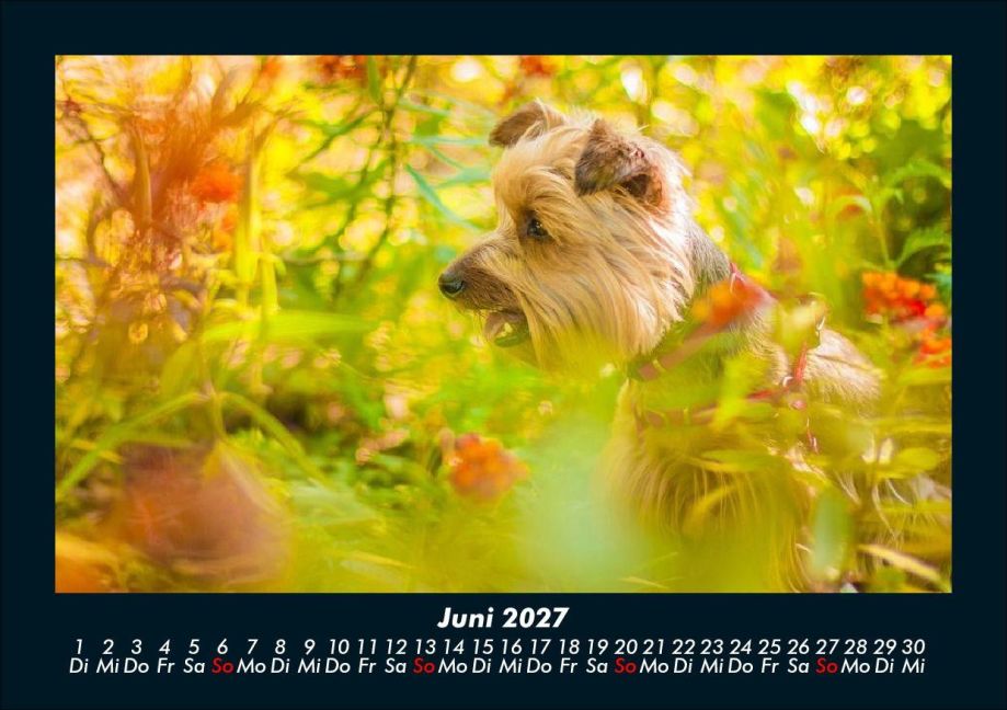 InsideView 10