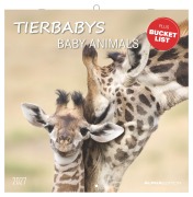 Cover-Bild zum Titel 'Tierbabys 2027' von ''