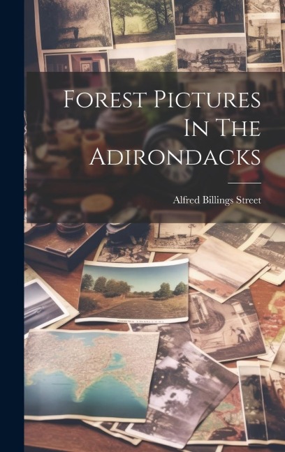 Forest Pictures In The Adirondacks - Alfred Billings Street