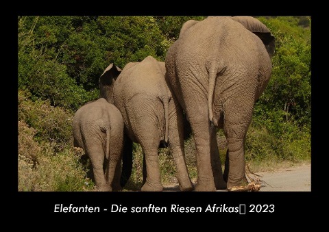 Elefanten - Die sanften Riesen Afrikas 2023 Fotokalender DIN A3 - Tobias Becker