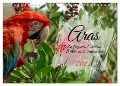 Aras - die fliegenden Edelsteine Mittel- und Südamerikas (Wandkalender 2025 DIN A4 quer), CALVENDO Monatskalender - Claudia Kleemann
