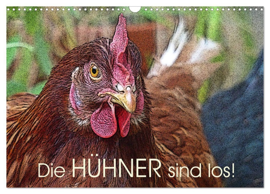 Die Hühner sind los! (Wandkalender 2026 DIN A3 quer), CALVENDO Monatskalender - Lucy M. Laube