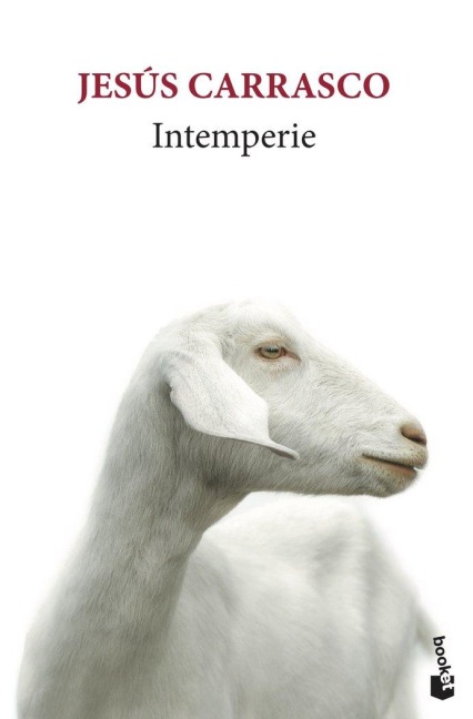 Intemperie - Jesús Carrasco