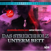 Cover-Bild zum Titel 'Das Streichholz unterm Bett' von 'Anton Tschechow'