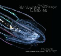 Cover-Bild zum Titel 'Manfred Wakolbinger - Blackwater Galaxies' von 'Manfred Wakolbinger, Christoph Ransmayr'