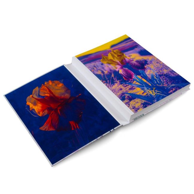 InsideView 20