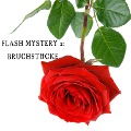 Cover-Bild zum Titel 'Flash Mystery 2: Bruchstücke' von 'Christina Schwarz'