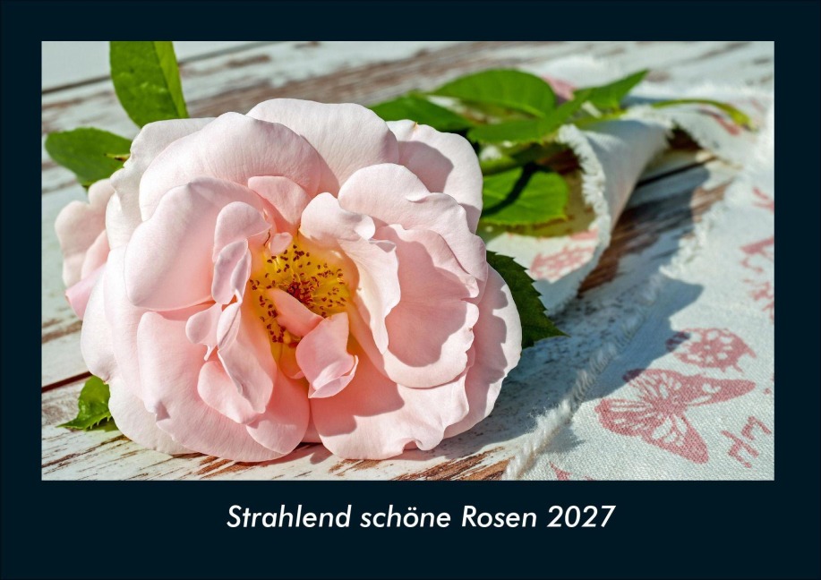 Strahlend schöne Rosen 2027 Fotokalender DIN A4 - Tobias Schmitt, Kevin Heber