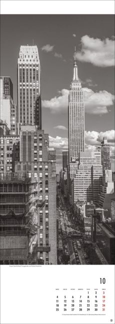 InsideView 10